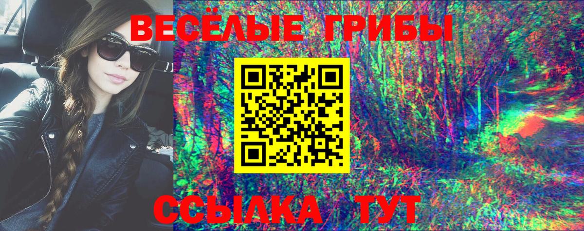 Галлюциногенные грибы GOLDEN TEACHER  дарнет шоп  Губаха  Псилоцибиновые грибы Cubensis  Вход с VPN 