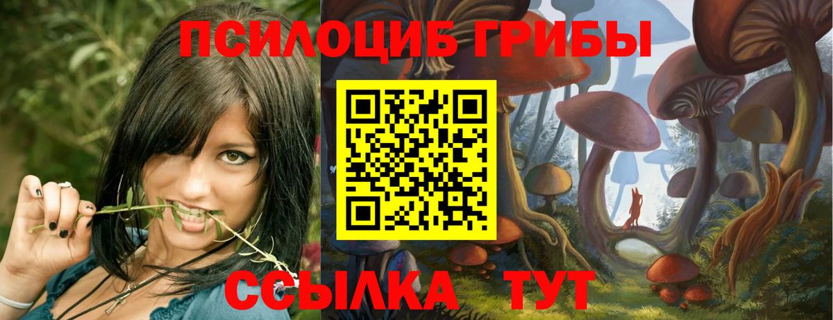 Галлюциногенные грибы мухоморы Губаха